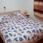 Lejlighed 2 Bedroom In Mrkopalj