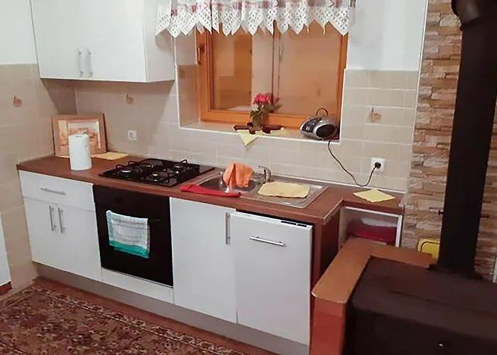 Lejlighed 2 Bedroom Amazing In Mrkopalj